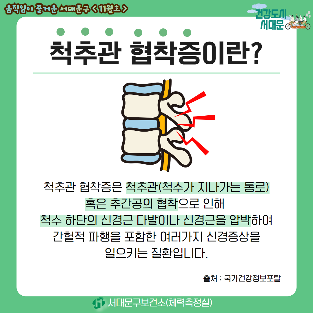 [움직임이 즐거운 서대문구 11월호] 건강 운동 정보