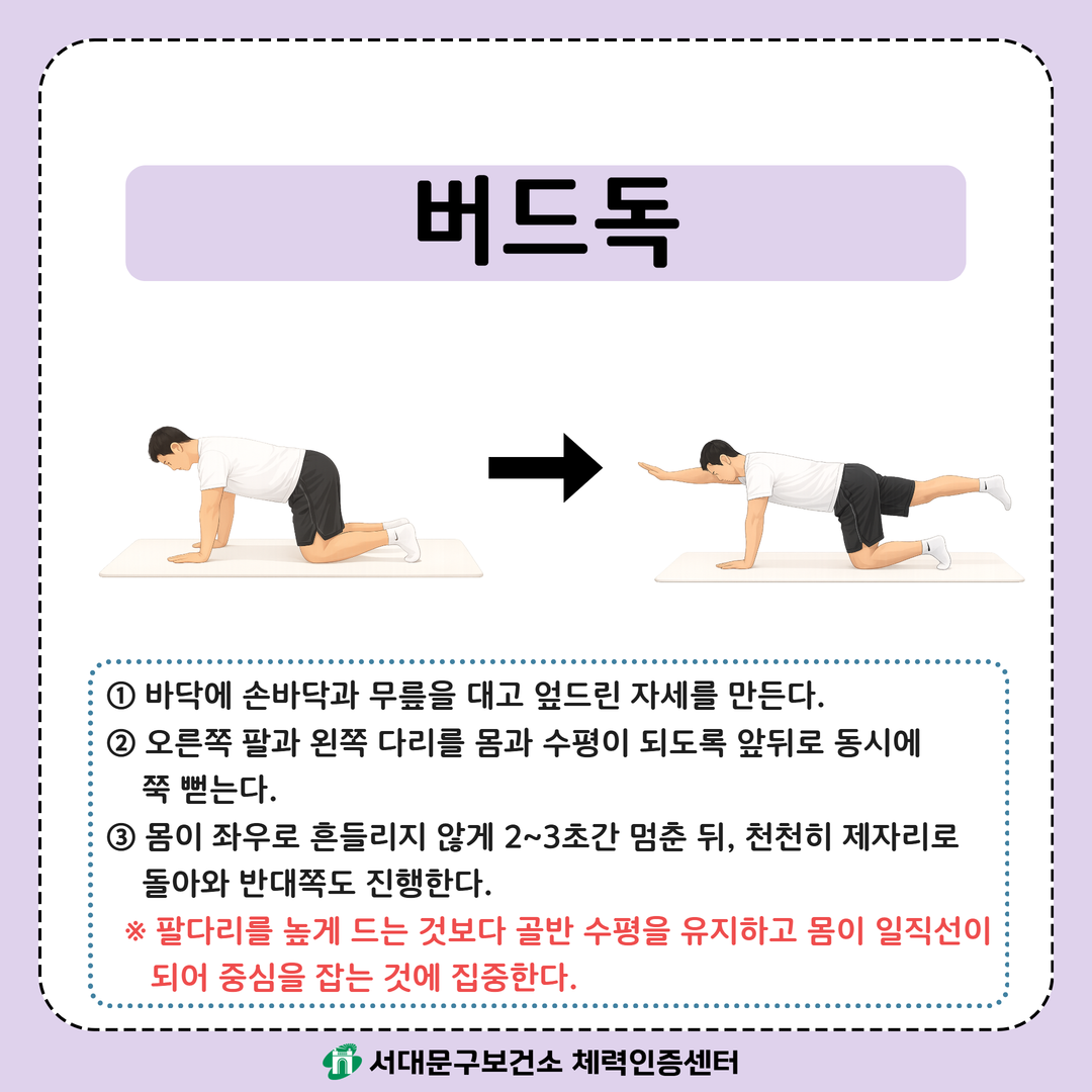 [움직임이 즐거운 서대문구 8월호] 건강 운동 챌린지